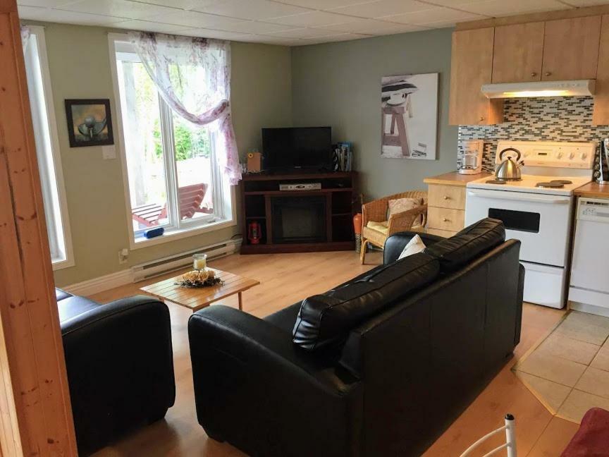 Apartmán Panoramique Du Fjord LʼAnse-Saint-Jean Exteriér fotografie
