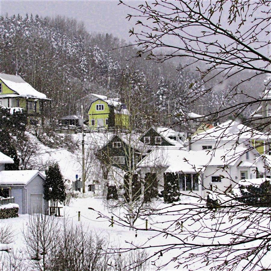 Apartmán Panoramique Du Fjord LʼAnse-Saint-Jean Exteriér fotografie