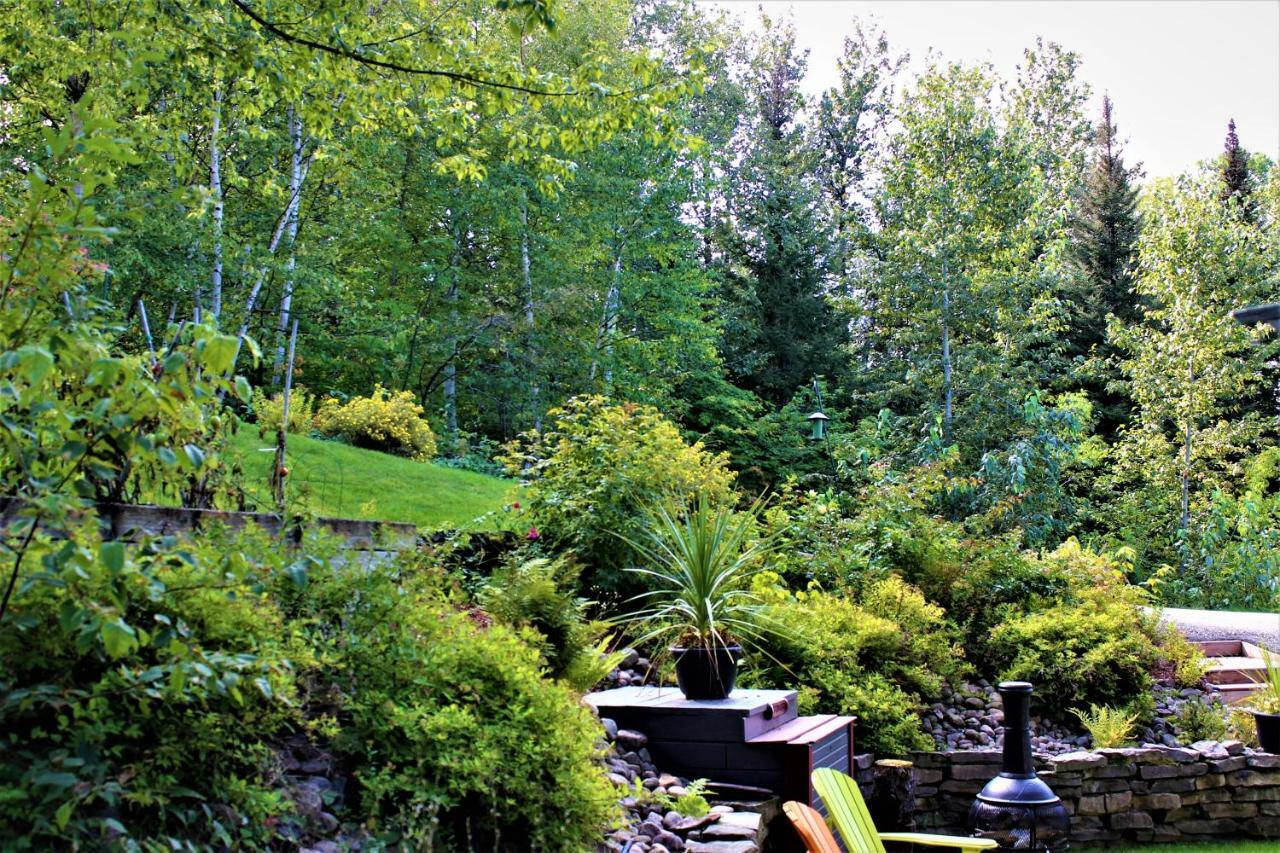 Apartmán Panoramique Du Fjord LʼAnse-Saint-Jean Exteriér fotografie